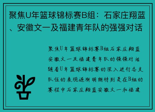 聚焦U年篮球锦标赛B组：石家庄翔蓝、安徽文一及福建青年队的强强对话